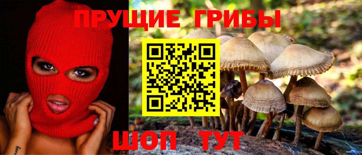 Галлюциногенные грибы GOLDEN TEACHER  Вход с VPN  Махачкала 